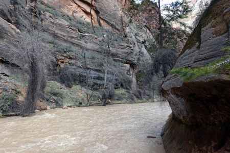 Vysoký stav vody nás nepustil do Zion Narrows.